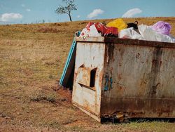 Jawara Kontes Foto iPhone 2022 yang Bikin Terpukau