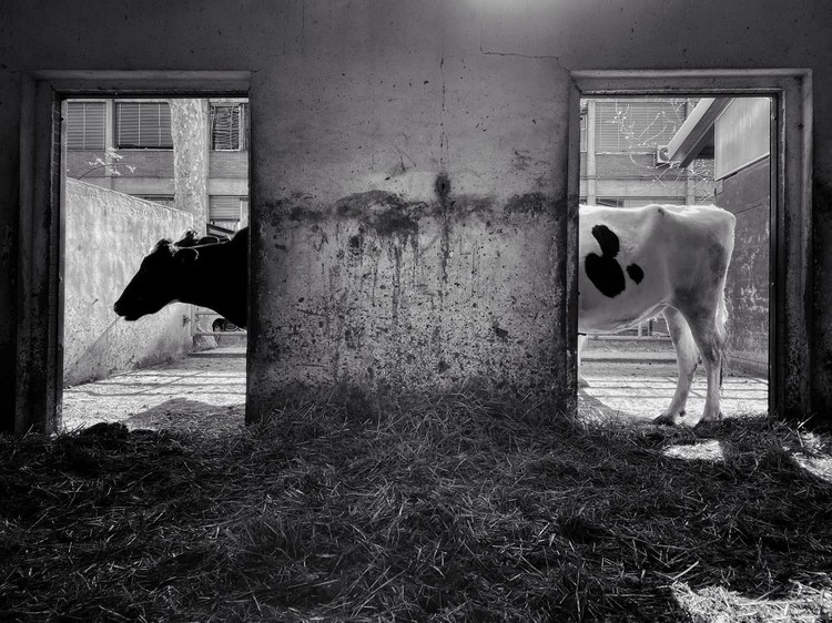 iPhone Photography Awards 2022 iPhone Photography Awards 2022