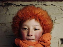 Jawara Kontes Foto iPhone 2022 yang Bikin Terpukau