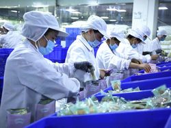 Mie Instan Mau Naik Harga, Pabriknya Canggih Lho!