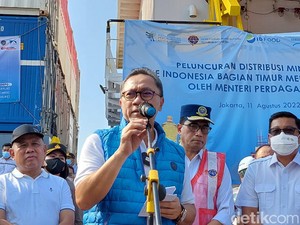 1,3 Juta Liter Minyakita Meluncur ke Papua-NTT, Harga se-RI Rata Rp 14.000