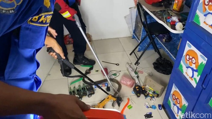 Petugas evakusi ular jalu di Trenggalek