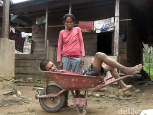 Pilu Janda di Polewali Mandar Urus Anak Lumpuh Andalkan Gerobak Semen