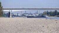 Cuaca panas yang sedang berlangsung dan kurangnya hujan telah menyebabkan ketinggian air di sungai Rhine dan beberapa sungai Jerman lainnya menurun.
