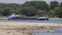 Sebuah kapal kargo melakukan perjalanan di Sungai Rhine, Bonn, Jerman, Rabu (10/8/2022). Kapal kargo harus memangkas muatan lantaran debit air sungai menyusut dan menyulitkan pelayaran. 