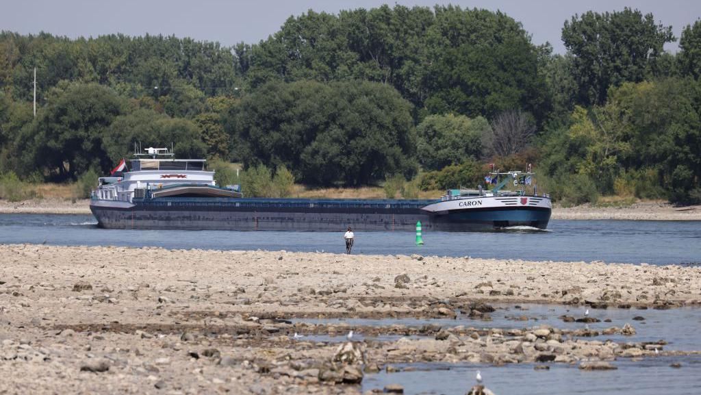 Suhu Panas Ekstrem, Sungai Rhine di Jerman Terancam Jadi Daratan