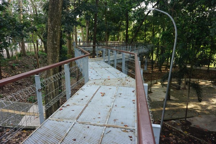Trek untuk jogging Trek untuk jogging