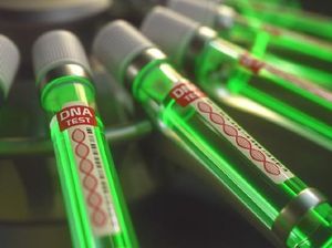 Makin Waspada, Taiwan Ciptakan Tes PCR untuk Deteksi Virus Baru Langya
