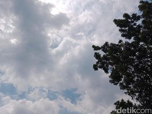 Medan Panas Terik Capai 36,5 Derajat Celsius, Ini Penjelasan BMKG