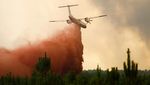 Api Mengamuk di Gironde Prancis, Hutan dan Langit Merah Padam