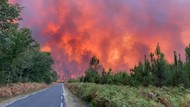 Api Mengamuk di Gironde Prancis, Hutan dan Langit Merah Padam