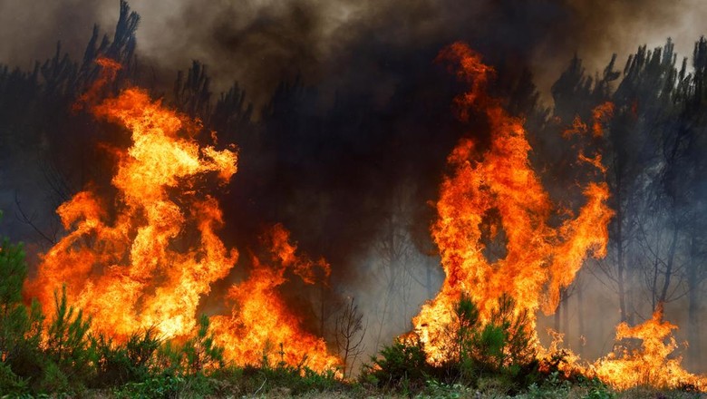 EUROPE-WEATHER/FRANCE-WILDFIRE Firefighters embrace as they work to contain a fire in Saint-Magne, as wildfires continue to spread in the Gironde region of southwestern France, August 11, 2022. REUTERS/Stephane Mahe TPX IMAGES OF THE DAY