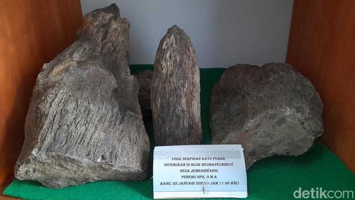 Fosil di Sumedang. Fosil di Sumedang.