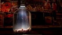 Menjijikan! Wine pada umumnya hanya dibuat dari anggur yang difermentasi, namun beda dengan wine ini yang dibuat dengan tambahan bayi tikus mati. Berani coba? Foto: insider.com / Tom Murray
