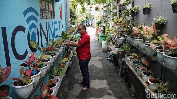 Kampung Kolaborasi Ini Asrinya Kebangetan Kampung yang berkolaborasi dengan PLN Disjaya tersebut melakukan gerakan aksi ketahanan pangan dengan menaman sayur mayur hingga buah-buahan.