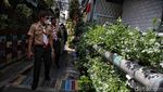 Wow! Masih Ada Perkampungan Seasri Ini di Tengah Jakarta