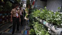 Walaupun lokasi kampung itu terlihat sempit tetapi kesan yang ditawarkan terlihat asri.