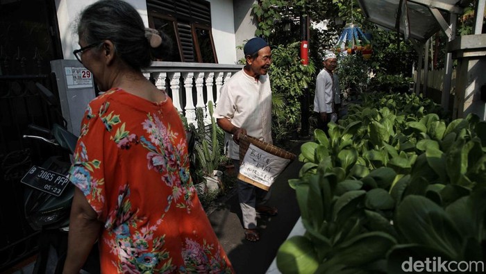 Kampung yang berkolaborasi dengan PLN Disjaya tersebut melakukan gerakan aksi ketahanan pangan dengan menaman sayur mayur hingga buah-buahan.