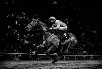 World Sports Photography Awards 2022