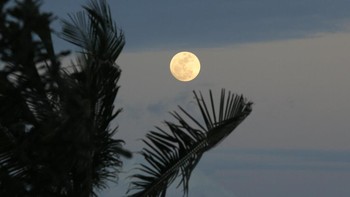 Sedangkan di 2025, supermoon-nya akan terjadi tiga kali berturut-turut. Foto: AP/Ng Han Guan