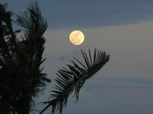 3 Doa Melihat Bulan Purnama Supermoon Malam Ini