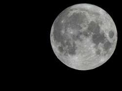 Ilmuwan Mau Bangun Bahtera Nuh di Bulan