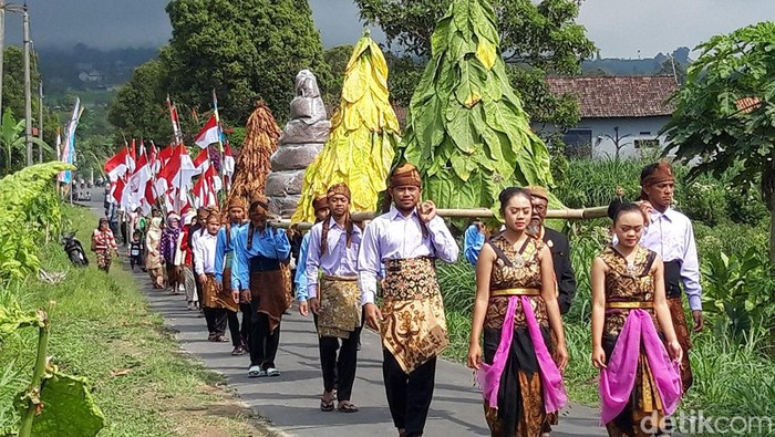 Warga lereng Gunung Merapi Boyolali menggelar kirab gunung tembakau dan 77 bendera merah putih, untuk syukuran panen tembakau sekaligus memperingati HUT ke-77 Kemerdekaan Indonesia, Sabtu (13/8/2022).