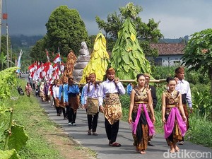 Meriahnya Kirab Tembakau dan 77 Bendera Merah Putih di Lereng Merapi
