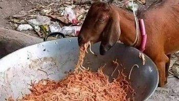 Makan spageti. Foto: Twitter