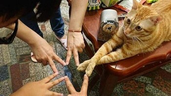 Pose jari. Foto: Twitter