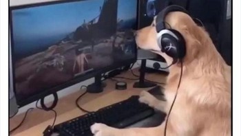 Main game. Foto: Twitter