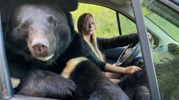 Jalan-jalan naik mobil. Foto: Twitter