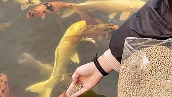 Nyammm.... Foto: Twitter