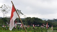 Kirab gunungan tembakau juga diikuti ibu-ibu yang membawa sejumlah hasil bumi, kelompok kesenian tari-tarian, dan 77 bendera merah-putih. Usai dikirab, ke-77 bendera tersebut kemudian dikibarkan berderet di dekat lokasi acara. Foto: Jarmaji/detikJateng