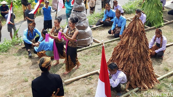 Kirab gunungan tembakau juga diikuti para ibu-ibu dengan membawa sejumlah hasil bumi setempat, kelompok kesenian tari-tarian dan 77 bendera merah-putih. Usai dikirab, ke-77 bendera tersebut kemudian dikibarkan berderet di dekat lokasi acara.