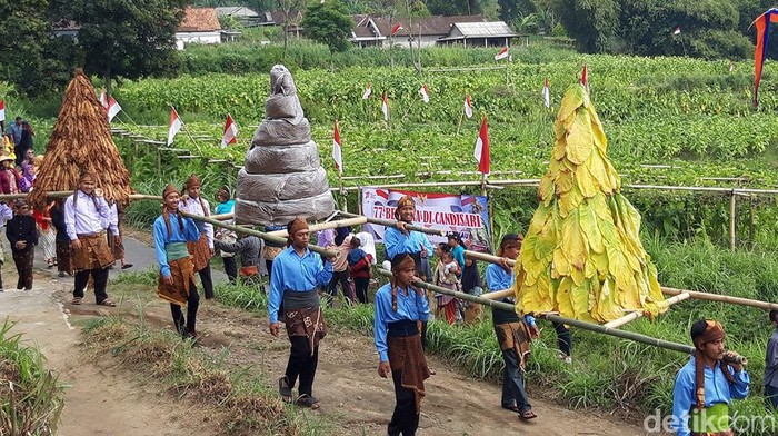Warga Dukuh Candirejo, Desa Gedangan, Kecamatan Cepogo, Kabupaten Boyolali menggelar kirab gunungan tembakau dan 77 bendera merah putih.