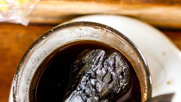Fakta kopi joss
