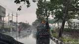 DLH Surabaya Buka Suara soal Aksi Nyeleneh Siram Tanaman saat Hujan Turun