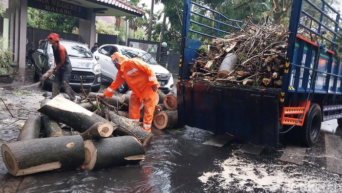 Petugas evakuasi pohon tumbang di Malang