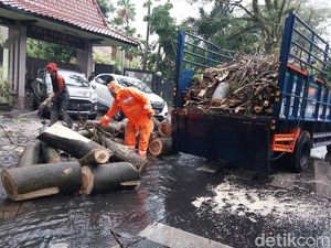 Cuaca Ekstrem di Kota Malang, 39 Rumah Rusak dan 5 Pohon Tumbang