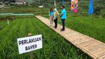 Upaya Meningkatkan Produktivitas Lahan dan Ekosistem Pertanian