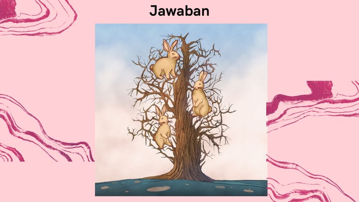 Ada 3 kelinci! Nggak susah kan?