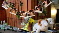 Pertama kali dibuka tahun 2011, kafe ini langsung populer setelah menjadi lokasi syuting acara realita We Got Married yang terkenal di Korea. Foto: Pool/Site