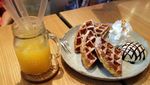 Gemas! Di Kafe Mungil Ini Bisa Makan Waffle Ditemani Domba Lucu