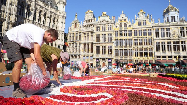 Tukang kebun menata bunga di atas karpet bunga seluas 1.680 meter persegi di Brussels Grand Place, Belgia, Jumat, (12/8/2022).