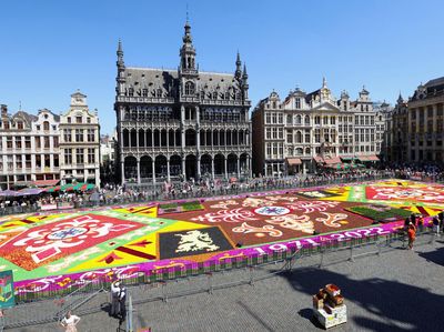 Hamparan Bunga Hiasi Grand Place Belgia, Indah Banget!
