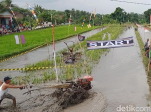 Seru Banget! Balap Traktor Peringati HUT RI di Kebonarum Klaten