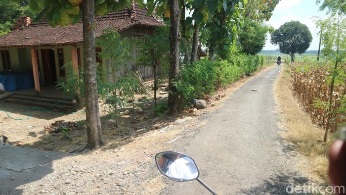 Permukiman warga Dusun Condro Desa Karangsumber Kecamatan Winong, Pati yang hanya ada empat rumah, Rabu (10/8/2022).