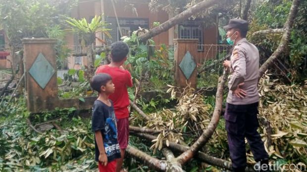 Pohon tumbang akibat angin puting beliung di Sukabumi.