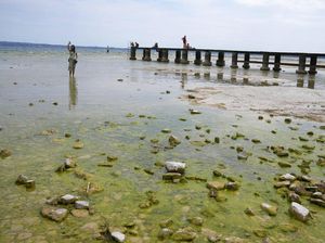 Potret Danau Terbesar di Italia Airnya Menyusut Akibat Kekeringan Parah